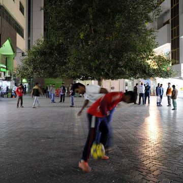 Square tree