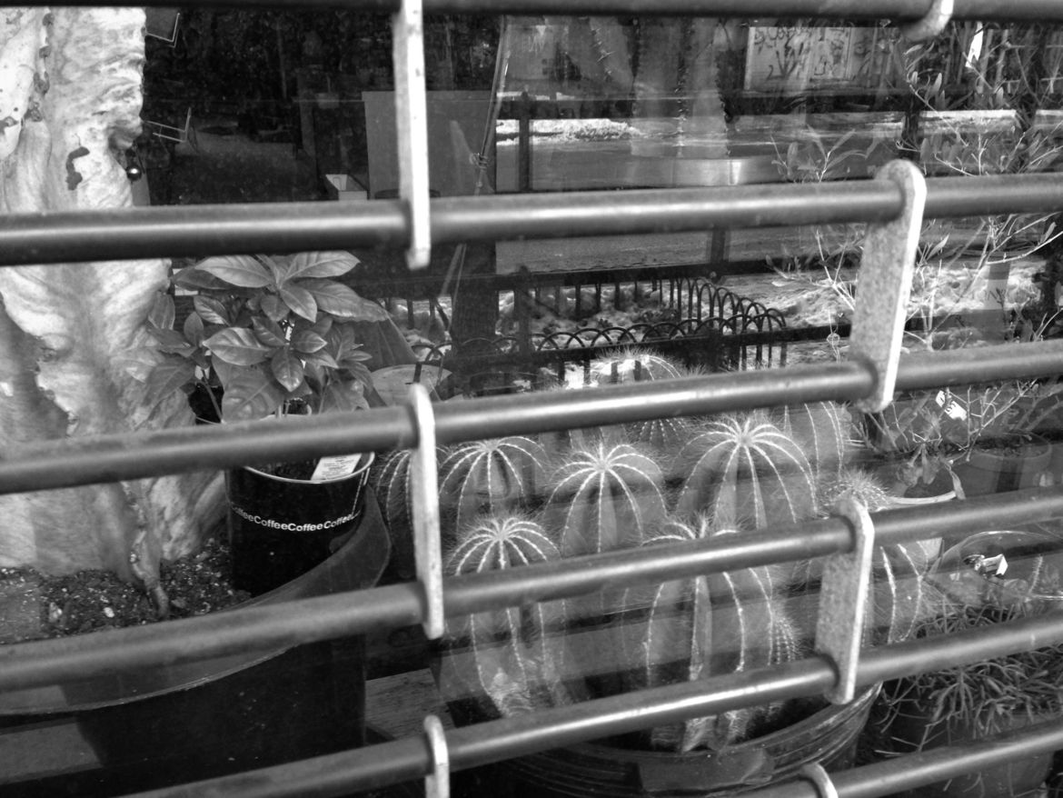 11 sherri img 3086bw