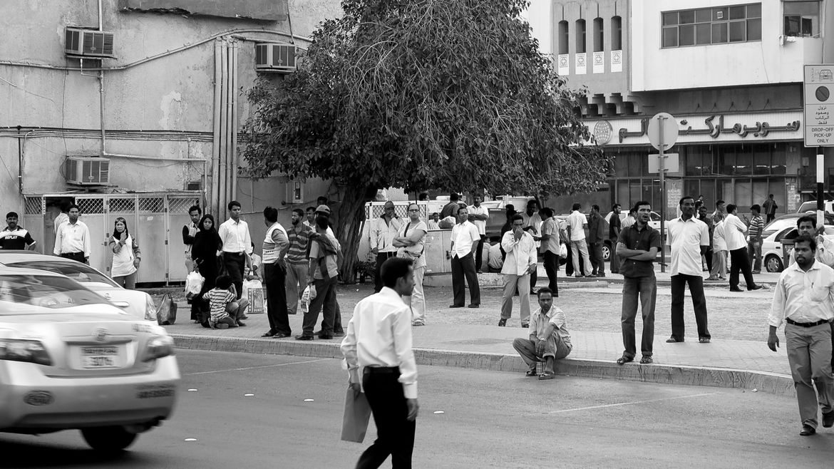 The square with the tree 04