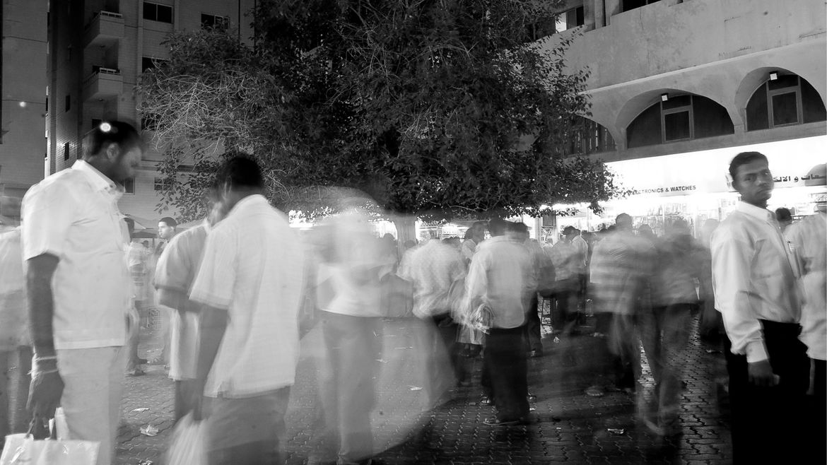 The square with the tree 05