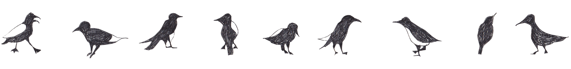 birds drawing