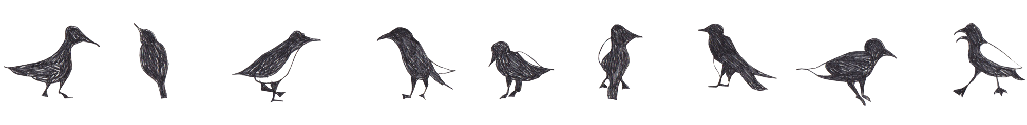 birds drawing