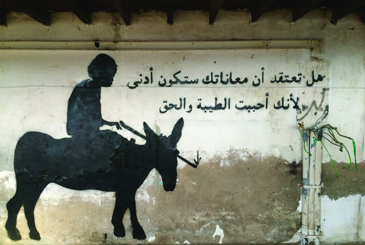 11bdonkey