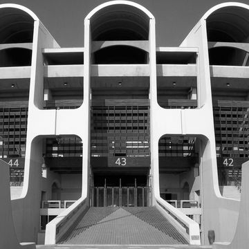 Adg zayedsports web square